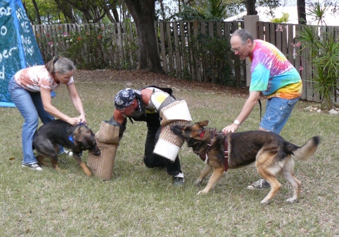 Seminar on Virgin Islands 2008